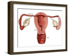 Uterus-Gwen Shockey-Framed Giclee Print