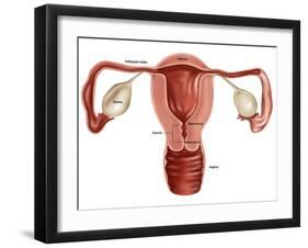 Uterus-Gwen Shockey-Framed Giclee Print