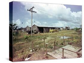 Utility Buildings at the People's Temple Agricultural Project, in Jonestown, Guyana, 1978-null-Stretched Canvas