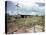 Utility Buildings at the People's Temple Agricultural Project, in Jonestown, Guyana, 1978-null-Stretched Canvas