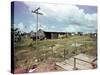 Utility Buildings at the People's Temple Agricultural Project, in Jonestown, Guyana, 1978-null-Stretched Canvas