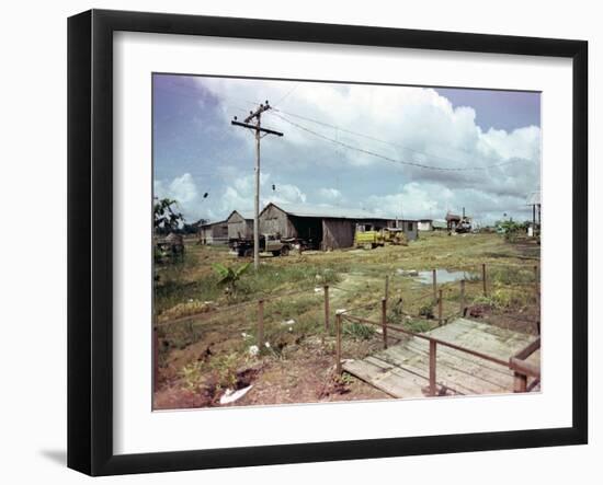 Utility Buildings at the People's Temple Agricultural Project, in Jonestown, Guyana, 1978-null-Framed Photo