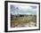 Utility Buildings at the People's Temple Agricultural Project, in Jonestown, Guyana, 1978-null-Framed Photo