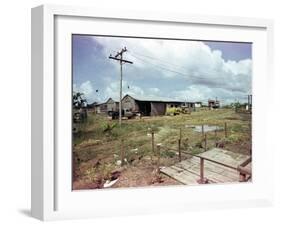 Utility Buildings at the People's Temple Agricultural Project, in Jonestown, Guyana, 1978-null-Framed Photo