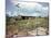 Utility Buildings at the People's Temple Agricultural Project, in Jonestown, Guyana, 1978-null-Mounted Photo