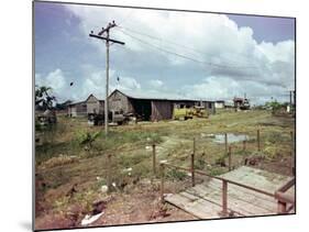 Utility Buildings at the People's Temple Agricultural Project, in Jonestown, Guyana, 1978-null-Mounted Photo