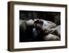 Utter Silence-Olga Mest-Framed Premium Photographic Print