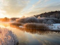 River and Trees in Winter, Storån, Åtvidaberg, Östergötland, Sweden-Utterström Photography-Photographic Print