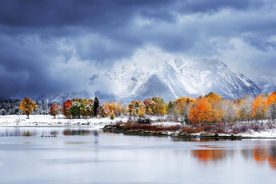 Premium Photographic Print, , large