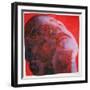 UV Head, 2001-Graham Dean-Framed Giclee Print