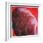 UV Head, 2001-Graham Dean-Framed Giclee Print