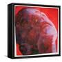 UV Head, 2001-Graham Dean-Framed Stretched Canvas