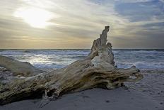 Evening on the Western Beach of Darss Peninsula-Uwe Steffens-Photographic Print