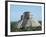 Uxmal, UNESCO World Heritage Site, Yucatan, Mexico, North America-Harding Robert-Framed Photographic Print