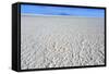 Uyuni Salt Flats-ckchiu-Framed Stretched Canvas