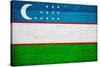 Uzbekistan Flag Design with Wood Patterning - Flags of the World Series-Philippe Hugonnard-Stretched Canvas