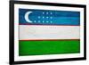 Uzbekistan Flag Design with Wood Patterning - Flags of the World Series-Philippe Hugonnard-Framed Art Print