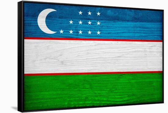 Uzbekistan Flag Design with Wood Patterning - Flags of the World Series-Philippe Hugonnard-Framed Stretched Canvas