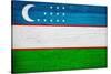 Uzbekistan Flag Design with Wood Patterning - Flags of the World Series-Philippe Hugonnard-Stretched Canvas