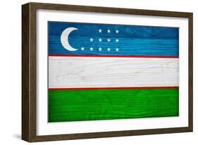 Uzbekistan Flag Design with Wood Patterning - Flags of the World Series-Philippe Hugonnard-Framed Art Print