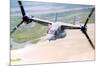 V-22 Osprey joint service aircraft-null-Mounted Art Print