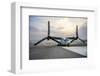 V-22 Osprey joint service aircraft-null-Framed Art Print