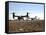 V-22 Osprey Tiltrotor Aircraft Arrive at Camp Bastion, Afghanistan-Stocktrek Images-Framed Stretched Canvas