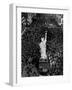 V-E Day in times Square-null-Framed Photographic Print