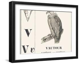 V for Vulture, 1850 (Engraving)-Louis Simon (1810-1870) Lassalle-Framed Giclee Print