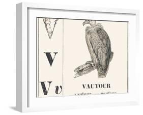 V for Vulture, 1850 (Engraving)-Louis Simon (1810-1870) Lassalle-Framed Giclee Print