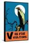 V is for Vulture-Charles Buckles Falls-Framed Stretched Canvas