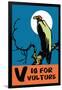 V is for Vulture-Charles Buckles Falls-Framed Art Print