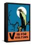 V is for Vulture-Charles Buckles Falls-Framed Stretched Canvas