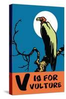 V is for Vulture-Charles Buckles Falls-Stretched Canvas