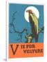 V is for Vulture-null-Framed Premium Giclee Print