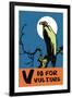 V is for Vulture-Charles Buckles Falls-Framed Art Print