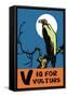 V is for Vulture-Charles Buckles Falls-Framed Stretched Canvas