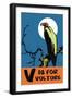 V is for Vulture-Charles Buckles Falls-Framed Art Print