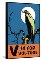 V is for Vulture-Charles Buckles Falls-Framed Stretched Canvas