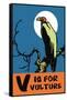 V is for Vulture-Charles Buckles Falls-Framed Stretched Canvas