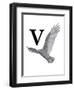 V is for Vulture-Stacy Hsu-Framed Art Print