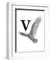 V is for Vulture-Stacy Hsu-Framed Art Print