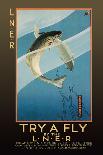 Try a Fly-V.l. Danvers-Art Print