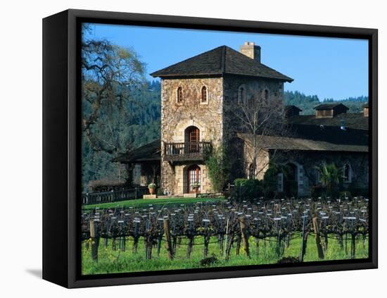 V Sattui Winery and Vineyard in St. Helena, Napa Valley Wine Country, California, USA-John Alves-Framed Stretched Canvas