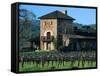 V Sattui Winery and Vineyard in St. Helena, Napa Valley Wine Country, California, USA-John Alves-Framed Stretched Canvas