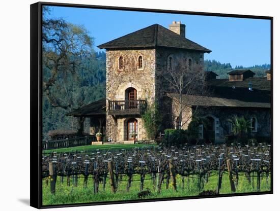 V Sattui Winery and Vineyard in St. Helena, Napa Valley Wine Country, California, USA-John Alves-Framed Stretched Canvas