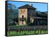 V Sattui Winery and Vineyard in St. Helena, Napa Valley Wine Country, California, USA-John Alves-Framed Stretched Canvas