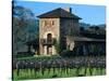 V Sattui Winery and Vineyard in St. Helena, Napa Valley Wine Country, California, USA-John Alves-Stretched Canvas