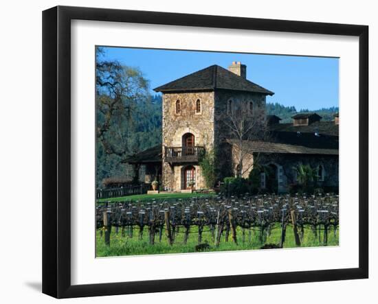V Sattui Winery and Vineyard in St. Helena, Napa Valley Wine Country, California, USA-John Alves-Framed Premium Photographic Print