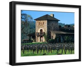 V Sattui Winery and Vineyard in St. Helena, Napa Valley Wine Country, California, USA-John Alves-Framed Premium Photographic Print